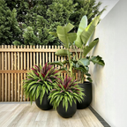 💥Summer Special🔥 UV-Resistant Artificial Fern & Red Dracaena Decorative Plants – Full, Lush & Fade-Resistant!
