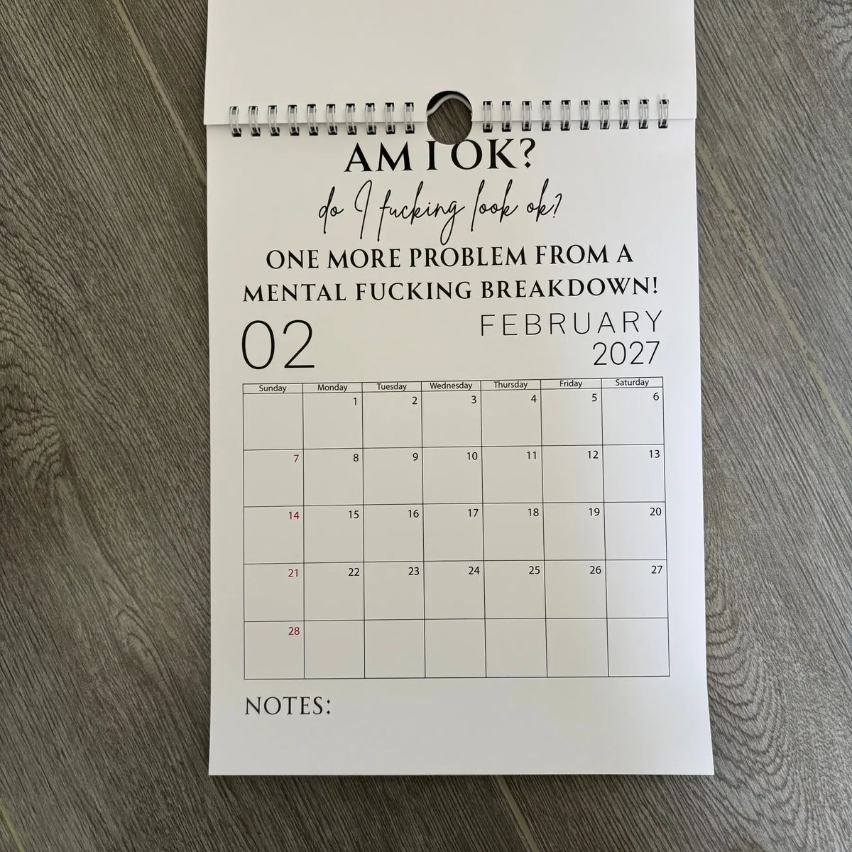Fuck It Calendar 2027, Funny Sweary Wall Calendar
