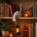 Cute Cat Hook Shelf Decor