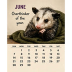 🐭2027 Opossum Calendar - 12 Months of Moods