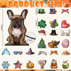 🐾 Interchangeable Seasonal Animal Wooden Decor Set