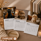 2027 Wigged Out Cat Calendar | Funny Cat Wall Calendar | 12-Month Gift for Cat Lovers