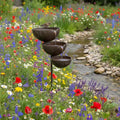 🌿🐦 Bring Life Back To Your Garden – Rain Catcher Bird Bath
