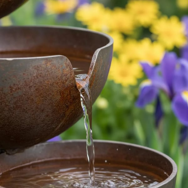 🌿🐦 Bring Life Back To Your Garden – Rain Catcher Bird Bath