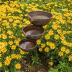 🌿🐦 Bring Life Back To Your Garden – Rain Catcher Bird Bath