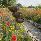 🌿🐦 Bring Life Back To Your Garden – Rain Catcher Bird Bath