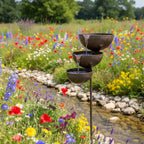 🌿🐦 Bring Life Back To Your Garden – Rain Catcher Bird Bath