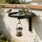 Wall-Mounted Metal Bird Bath – Antique Bronze Finish 🐦🛁🧱🏡